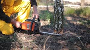 Best Lawn Drainage Solutions  in Le Grand, CA