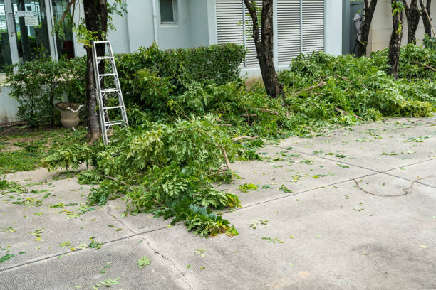 Best Tree Risk Assessment  in Le Grand, CA