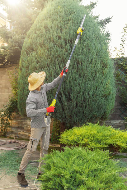 Best Lawn Pest Prevention  in Le Grand, CA